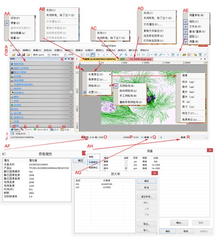 石景山偏光顯微鏡攝像頭測量軟件toupview視頻窗口介紹